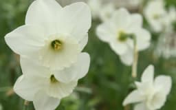 Family Workshop: An Ode to the Gardens